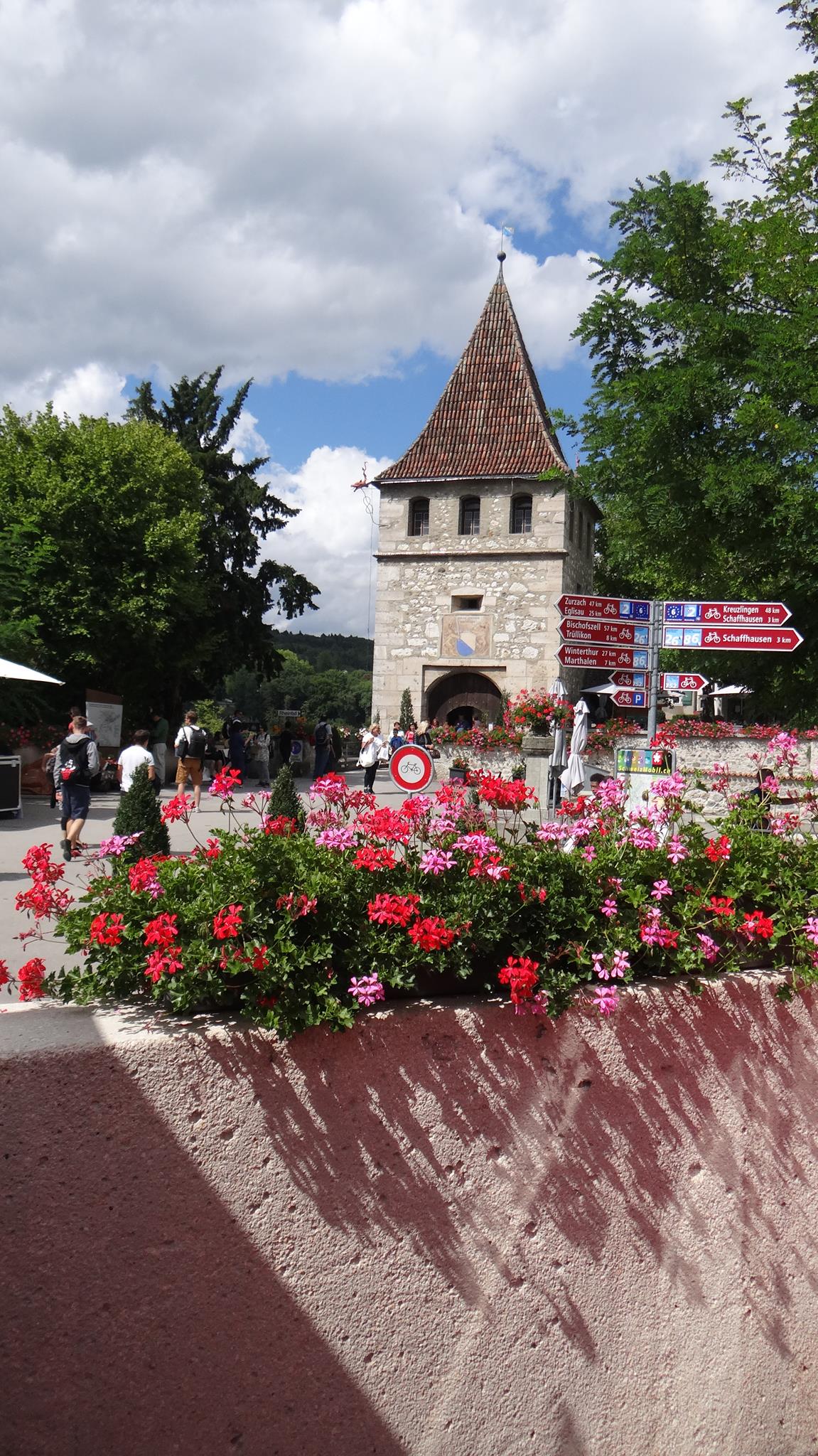 Surrounding of Rhine Falls, Switzarland