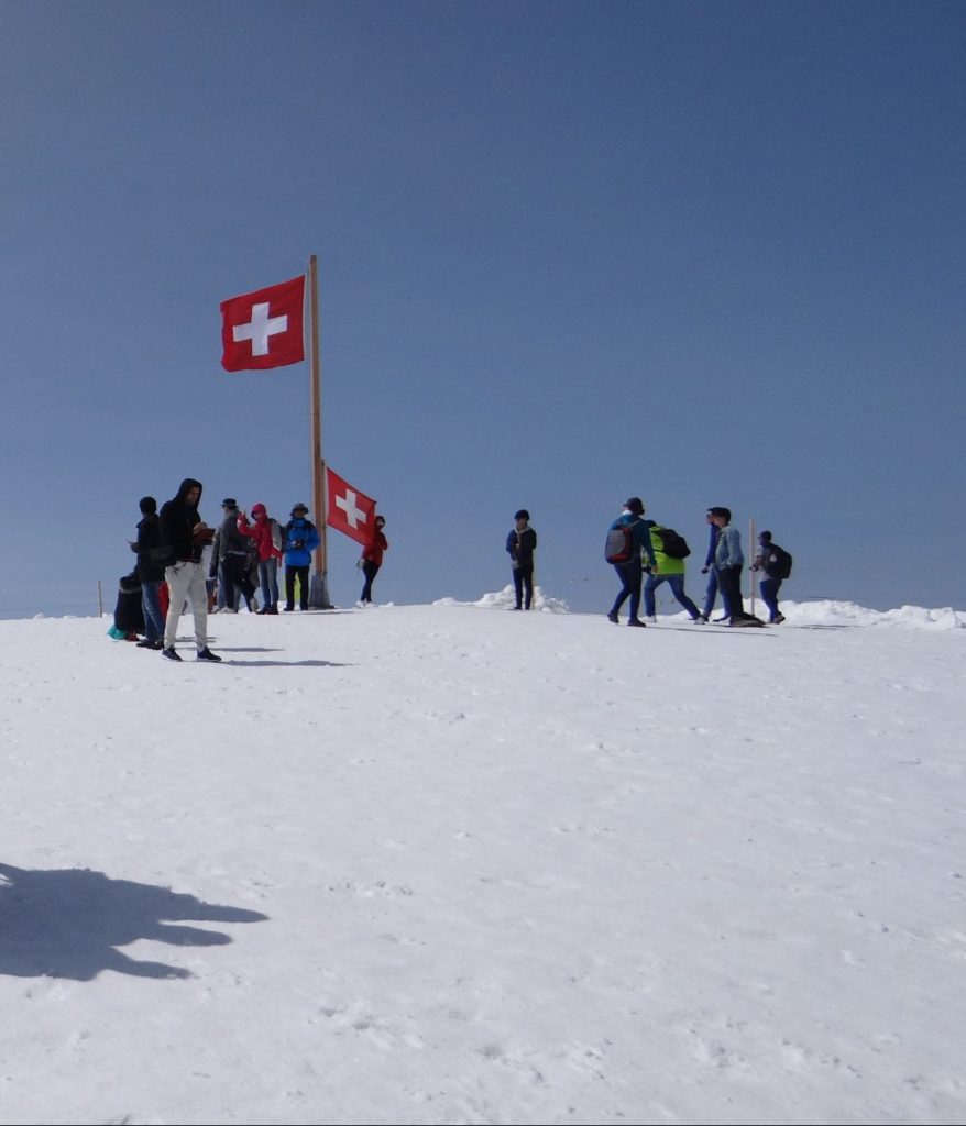 Glacier Plateau-Jungfrau-A long stretch of snowy peaks