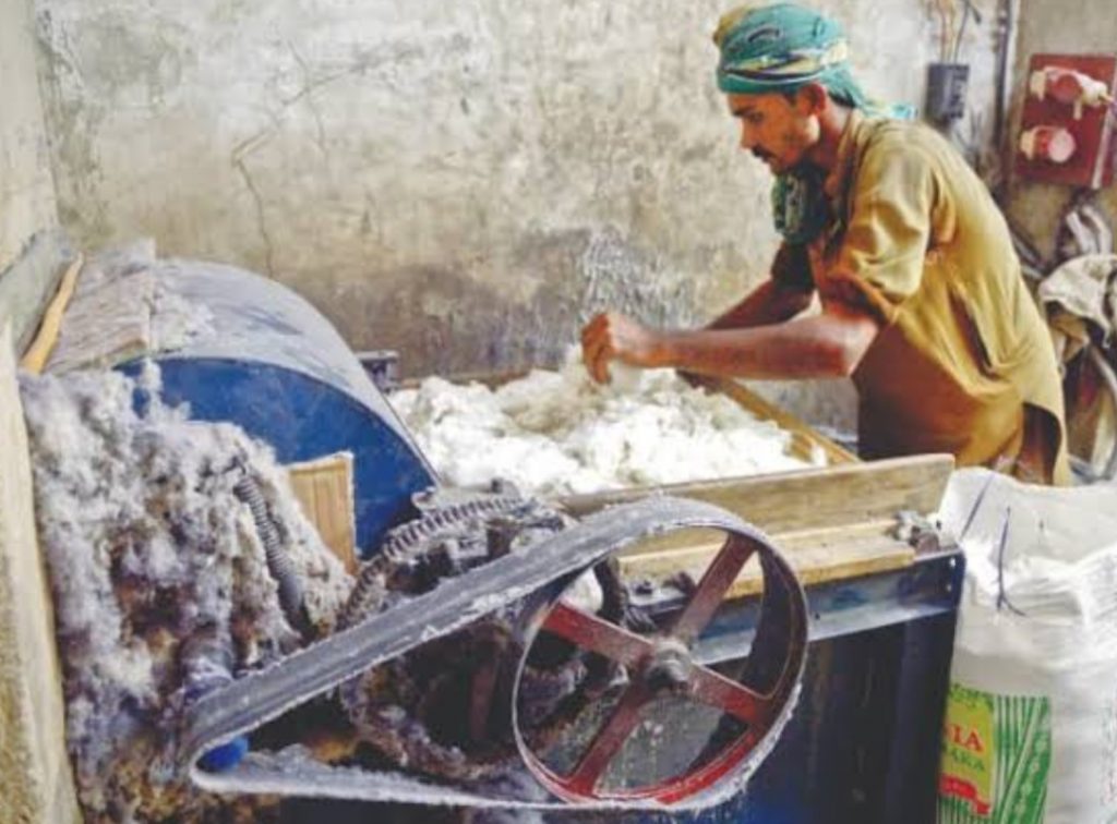 The warmth of cotton quilt,  pine nuts peanuts 